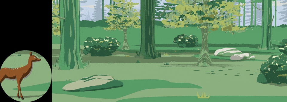 CHOA — forest environment